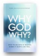 Why God Why - How to Believe in Heaven When it Hurts Like Hell
