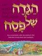 Haggadah: Illustrated Youth Edition