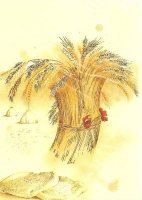 Blank Greeting Card